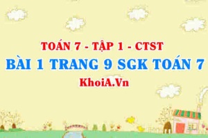 Bài 1 trang 9 SGK Toán 7 tập 1 Chân trời sáng tạo